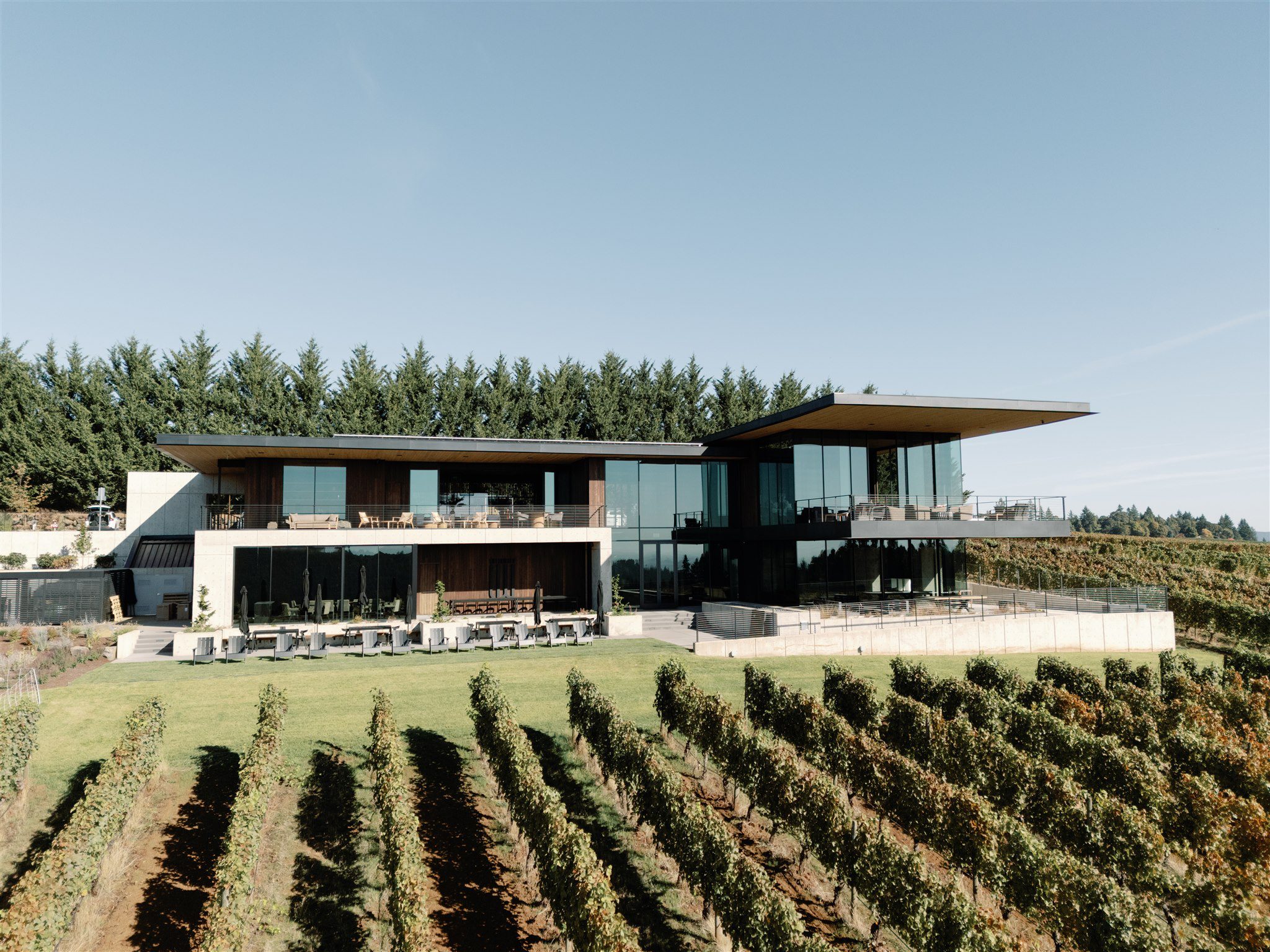 Modern winery estate overlooking rolling vineyard rows, a striking venue for a wine country destination wedding.