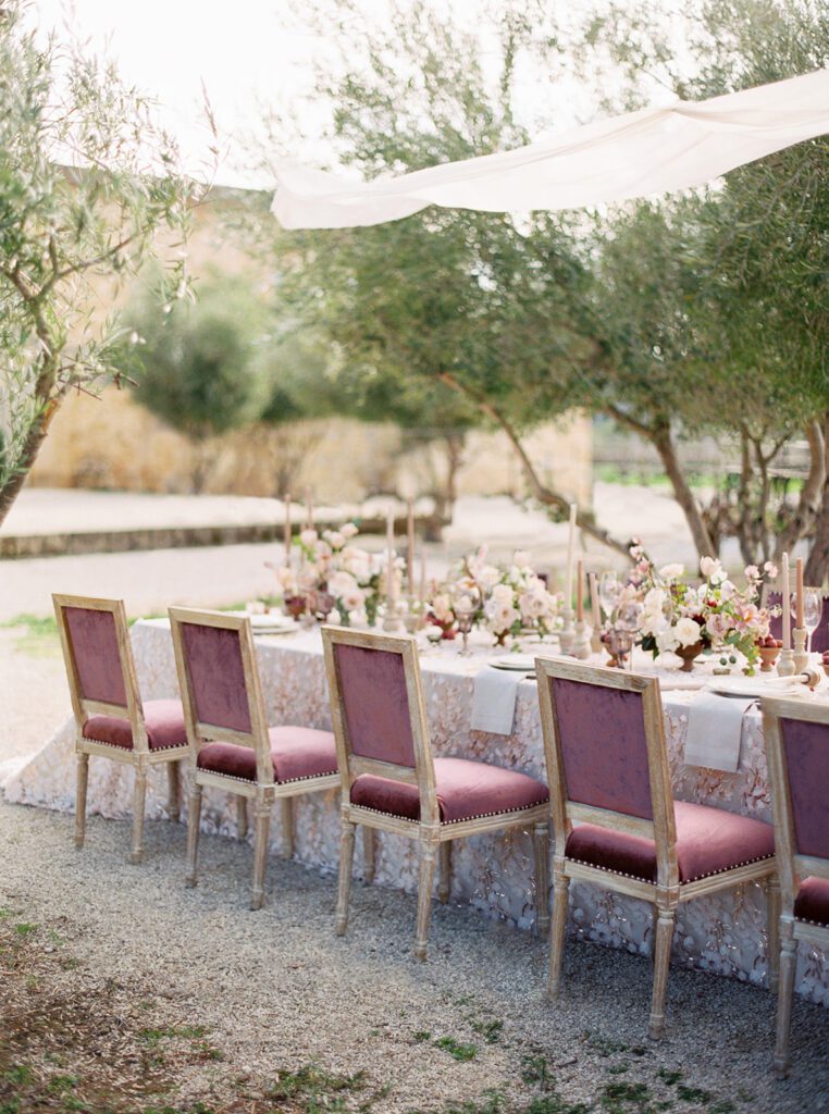 Reception table with velvet chairs and blush florals set beneath olive trees for a wine country wedding.